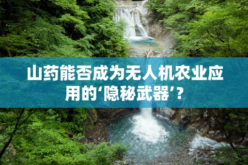 山药能否成为无人机农业应用的‘隐秘武器’？