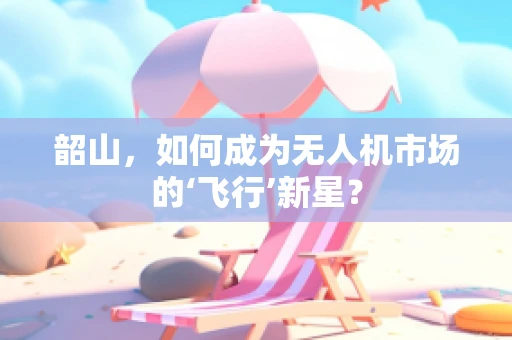 韶山，如何成为无人机市场的‘飞行’新星？