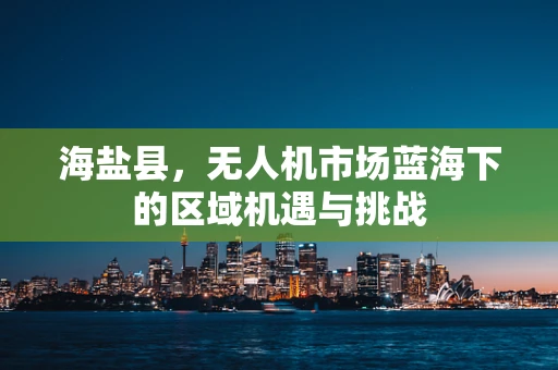 海盐县，无人机市场蓝海下的区域机遇与挑战