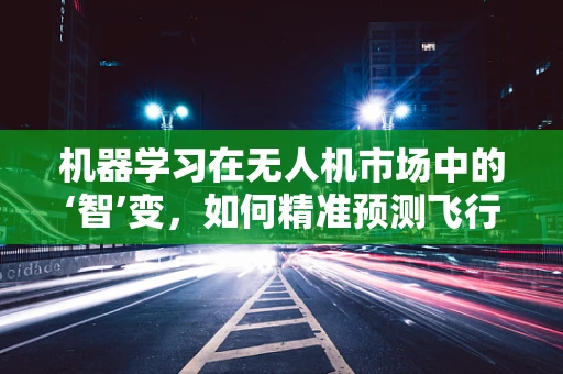 机器学习在无人机市场中的‘智’变，如何精准预测飞行路径以优化市场布局？