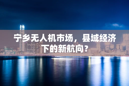 宁乡无人机市场，县域经济下的新航向？