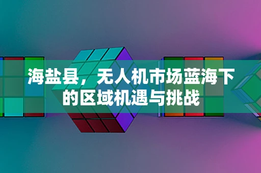 海盐县，无人机市场蓝海下的区域机遇与挑战