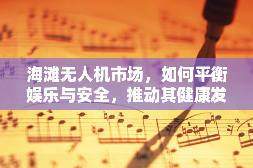 海滩无人机市场，如何平衡娱乐与安全，推动其健康发展？