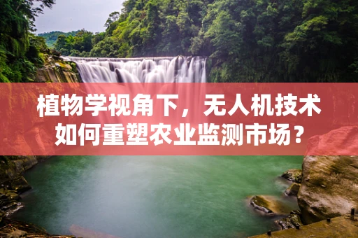 植物学视角下，无人机技术如何重塑农业监测市场？
