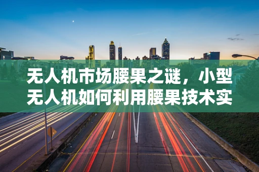 无人机市场腰果之谜，小型无人机如何利用腰果技术实现精准定位？