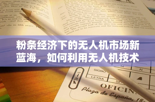 粉条经济下的无人机市场新蓝海，如何利用无人机技术促进粉条产业升级？