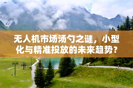 无人机市场汤勺之谜，小型化与精准投放的未来趋势？