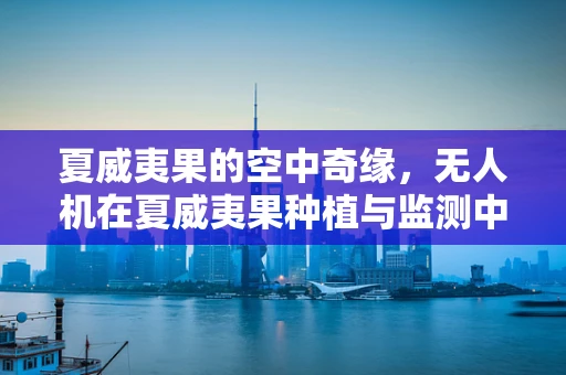 夏威夷果的空中奇缘，无人机在夏威夷果种植与监测中的新蓝海？