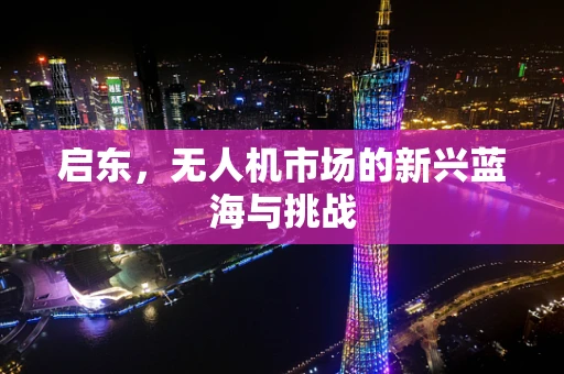 启东，无人机市场的新兴蓝海与挑战