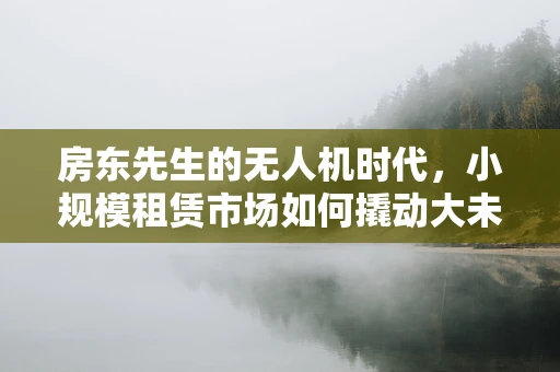 房东先生的无人机时代，小规模租赁市场如何撬动大未来？