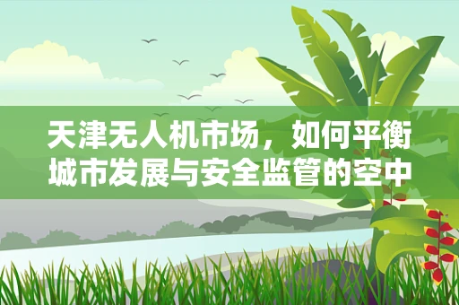 天津无人机市场，如何平衡城市发展与安全监管的空中之舞？