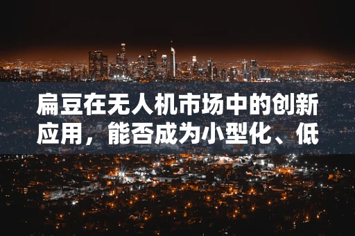 扁豆在无人机市场中的创新应用，能否成为小型化、低成本解决方案的‘秘密武器’？