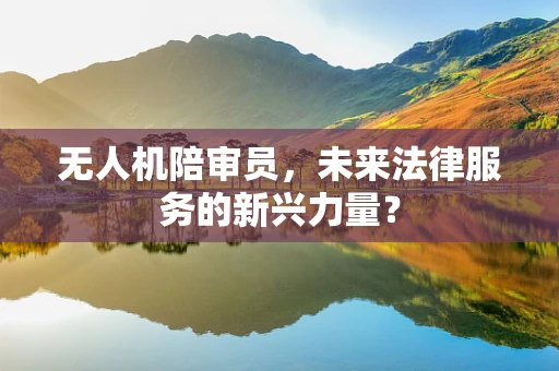 无人机陪审员，未来法律服务的新兴力量？