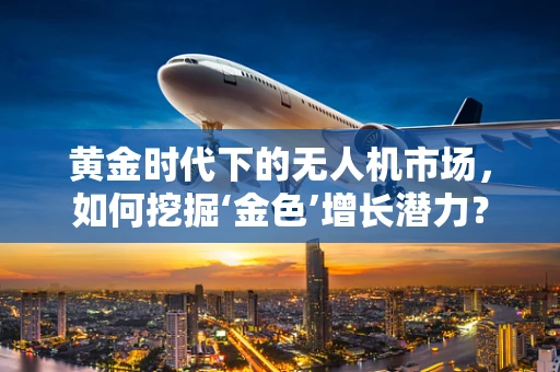 黄金时代下的无人机市场，如何挖掘‘金色’增长潜力？