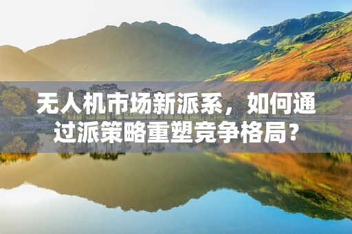 无人机市场新派系，如何通过派策略重塑竞争格局？