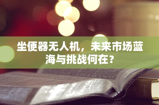 坐便器无人机，未来市场蓝海与挑战何在？