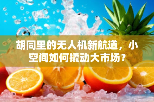 胡同里的无人机新航道，小空间如何撬动大市场？
