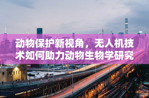 动物保护新视角，无人机技术如何助力动物生物学研究？