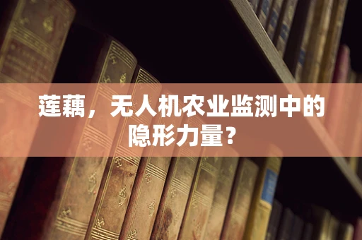 莲藕，无人机农业监测中的隐形力量？