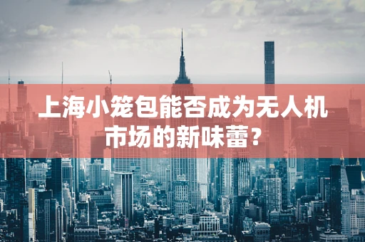 上海小笼包能否成为无人机市场的新味蕾？