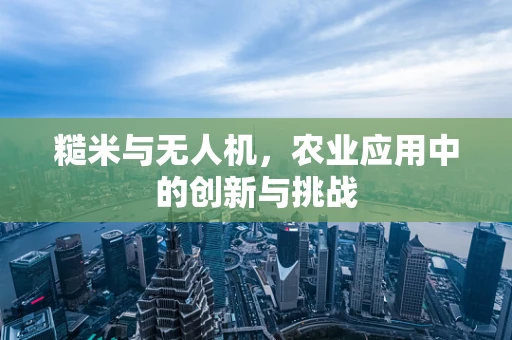 糙米与无人机，农业应用中的创新与挑战