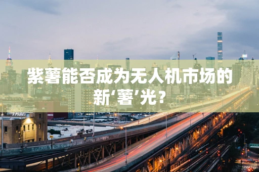 紫薯能否成为无人机市场的新‘薯’光？