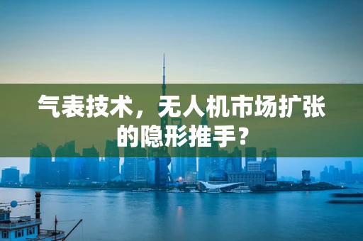 气表技术，无人机市场扩张的隐形推手？