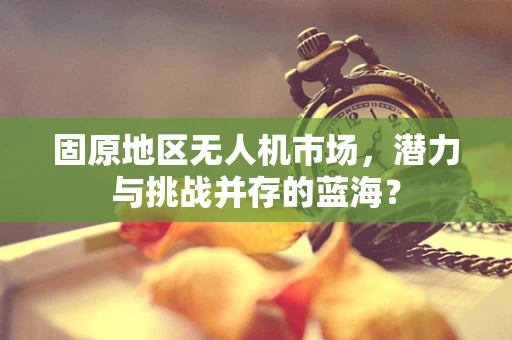 固原地区无人机市场，潜力与挑战并存的蓝海？