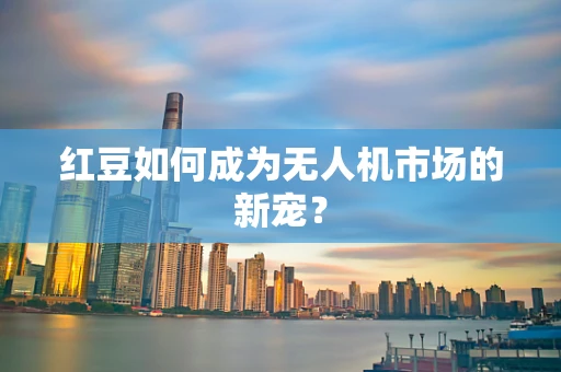 红豆如何成为无人机市场的新宠？