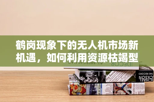 鹤岗现象下的无人机市场新机遇，如何利用资源枯竭型城市转型契机？