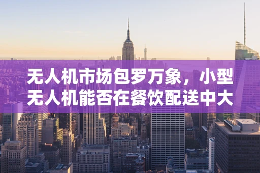 无人机市场包罗万象，小型无人机能否在餐饮配送中大显身手？