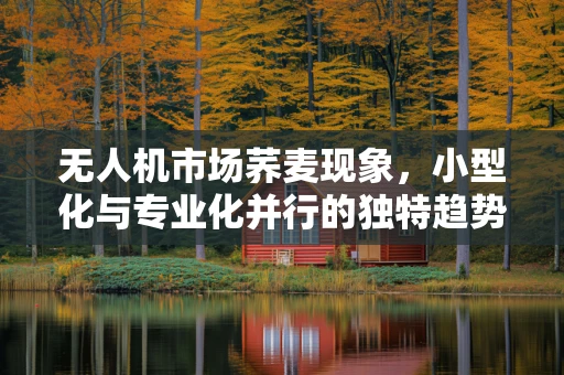 无人机市场荞麦现象，小型化与专业化并行的独特趋势