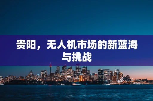 贵阳，无人机市场的新蓝海与挑战