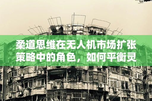 柔道思维在无人机市场扩张策略中的角色，如何平衡灵活性与稳定性？