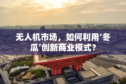 无人机市场，如何利用‘冬瓜’创新商业模式？