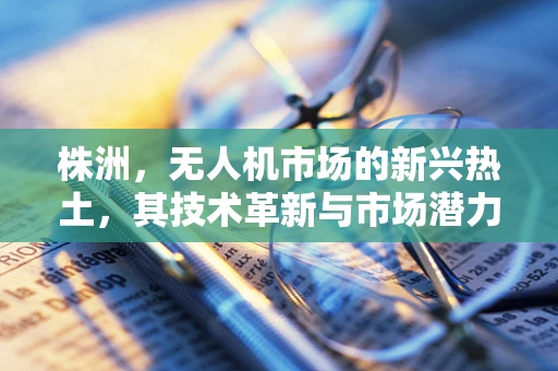 株洲，无人机市场的新兴热土，其技术革新与市场潜力何在？