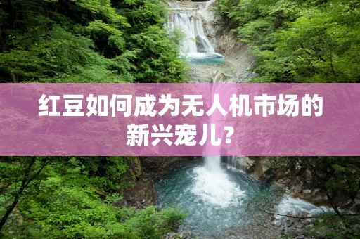 红豆如何成为无人机市场的新兴宠儿？