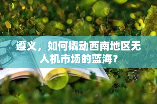 遵义，如何撬动西南地区无人机市场的蓝海？