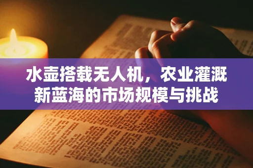 水壶搭载无人机，农业灌溉新蓝海的市场规模与挑战