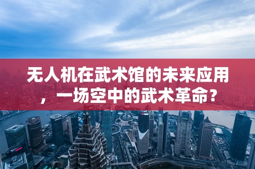 无人机在武术馆的未来应用，一场空中的武术革命？