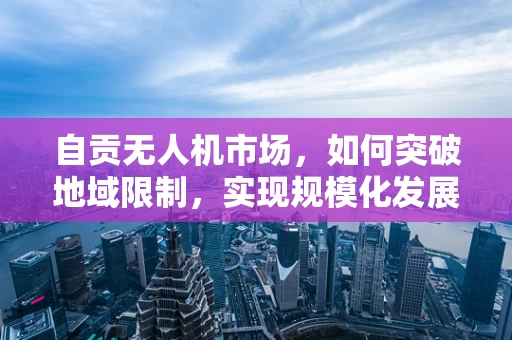 自贡无人机市场，如何突破地域限制，实现规模化发展？