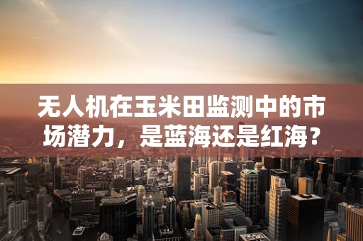 无人机在玉米田监测中的市场潜力，是蓝海还是红海？