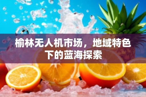 榆林无人机市场，地域特色下的蓝海探索