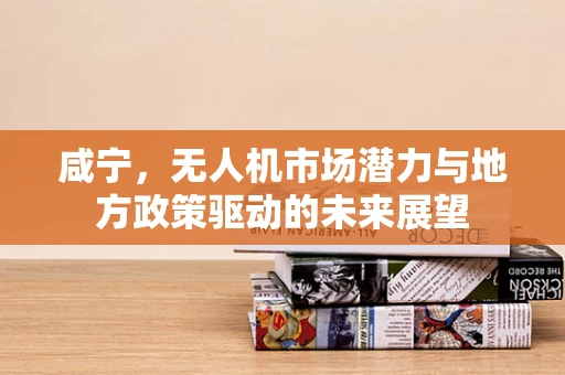 咸宁，无人机市场潜力与地方政策驱动的未来展望
