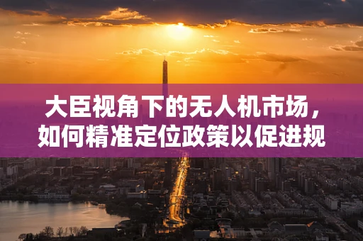 大臣视角下的无人机市场，如何精准定位政策以促进规模增长？