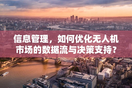 信息管理，如何优化无人机市场的数据流与决策支持？