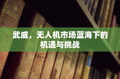 武威，无人机市场蓝海下的机遇与挑战