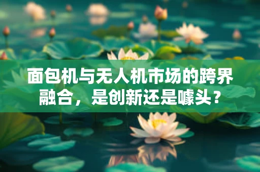 面包机与无人机市场的跨界融合，是创新还是噱头？