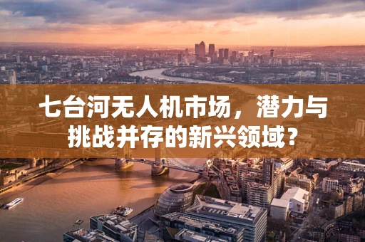 七台河无人机市场，潜力与挑战并存的新兴领域？