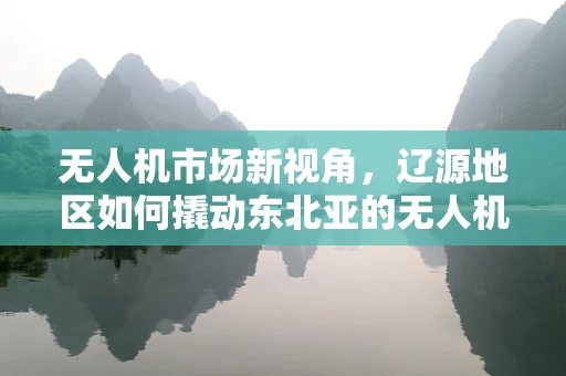 无人机市场新视角，辽源地区如何撬动东北亚的无人机应用蓝海？